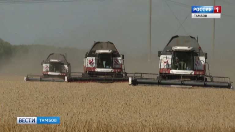 Воронежские аграрии намолотили третий млн тонн зерна