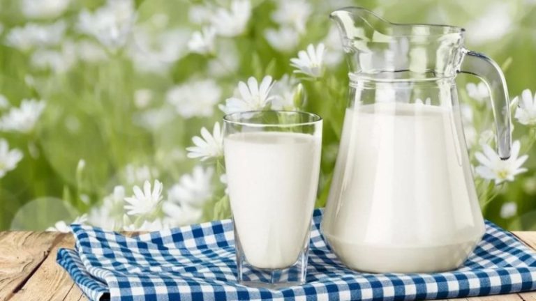 Производство молока в области растет