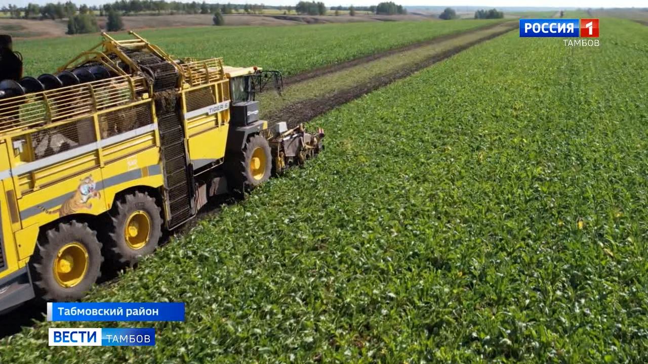 Мичуринск Магазин Нова
